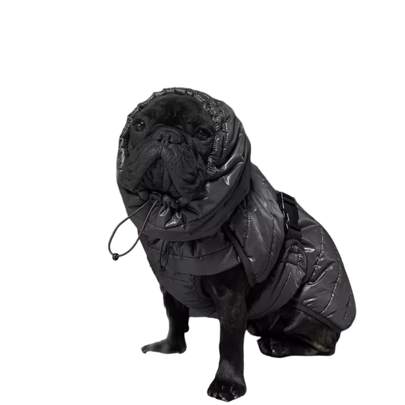 Winter Clothing In French - Pug Dog Coat Jacket Winter French