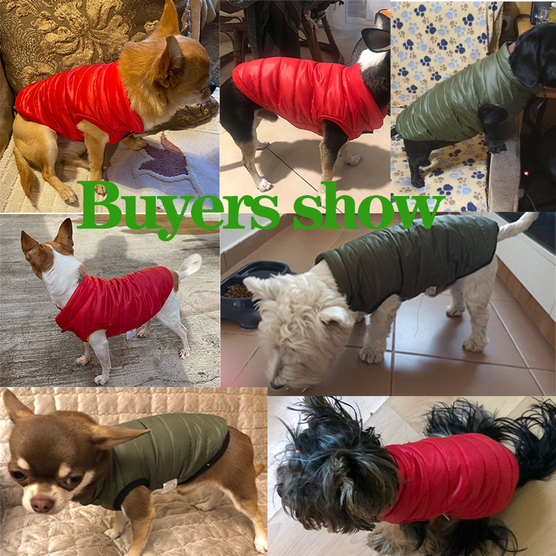 Warm Pet Dog Vest Jacket Autum - Winter Clothing In French 评论和价格