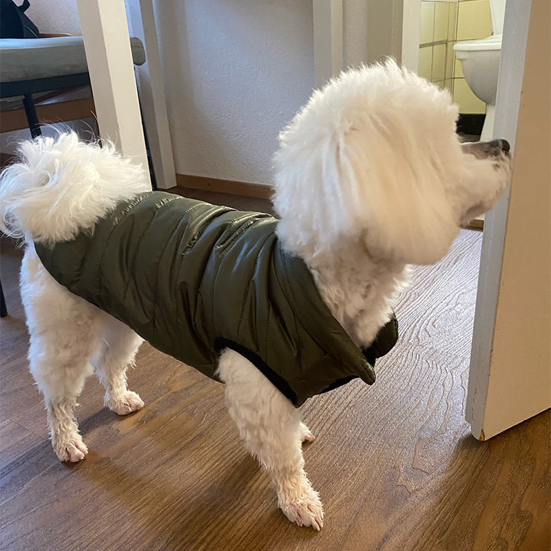 Warm Pet Dog Vest Jacket Autum - Winter Clothing In French 评论和价格