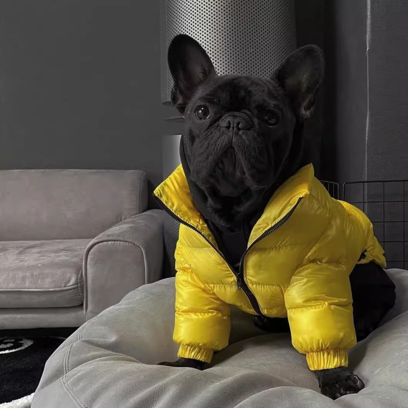 Pug Dog Coat Jacket French Bul - Winter Clothing In French 评论和价格