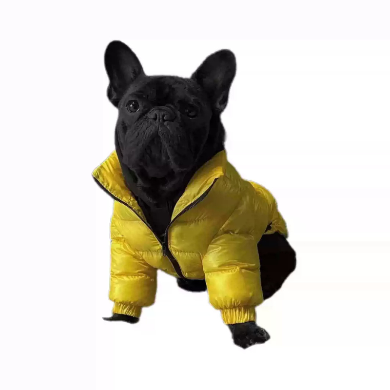 Pug Dog Coat Jacket French Bul - Winter Clothing In French 评论和价格