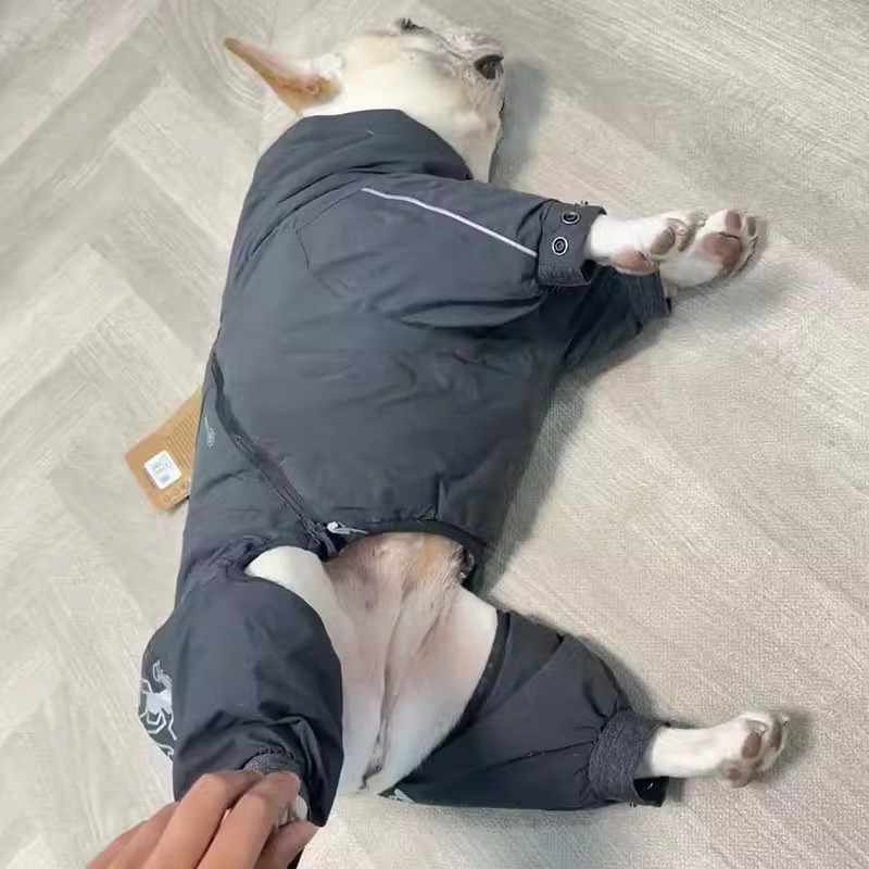 French Bulldog Clothing Jumpsu - Winter Clothing In French 评论和价格
