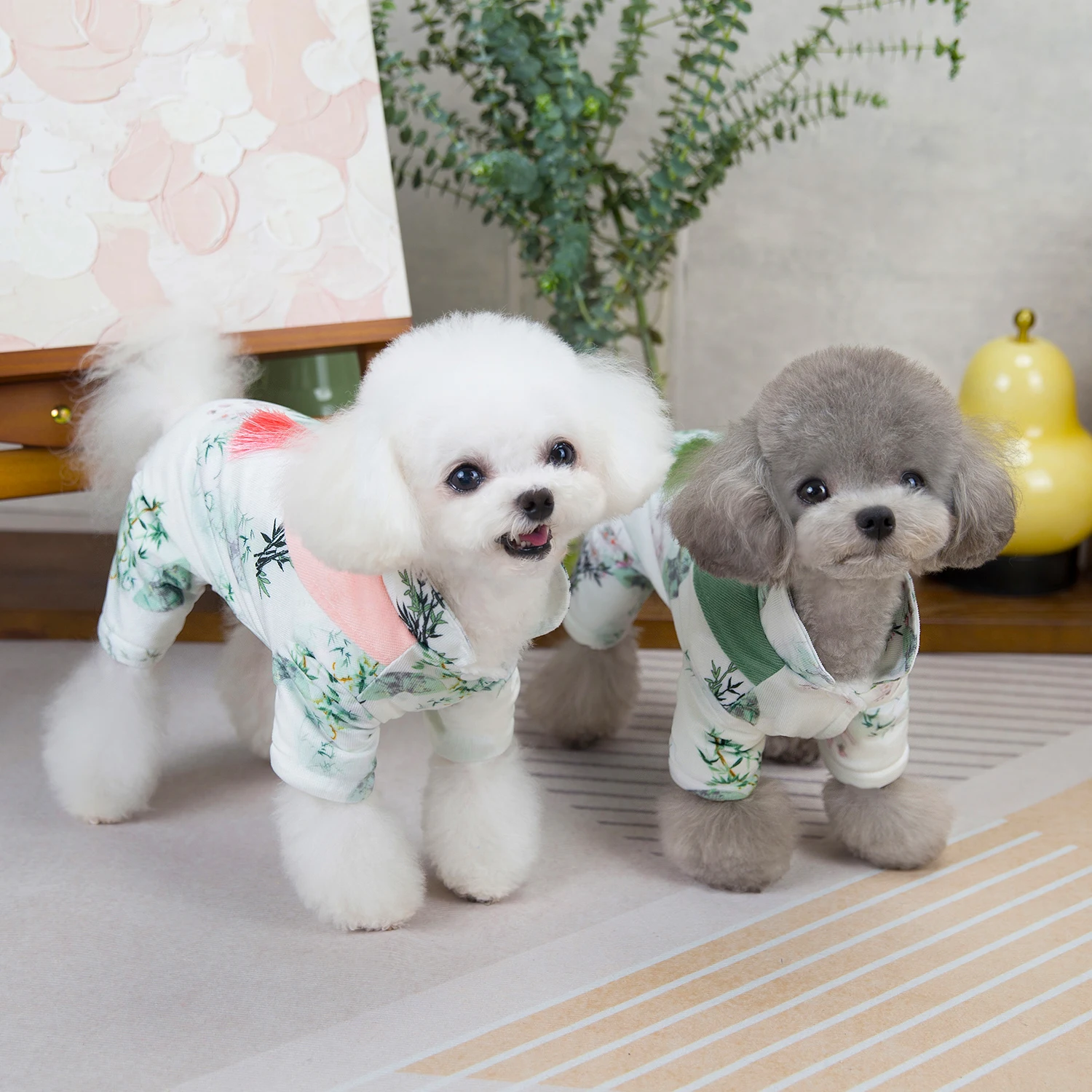 Chinese Classic Pattern Winter - Winter Clothing In French 评论和价格
