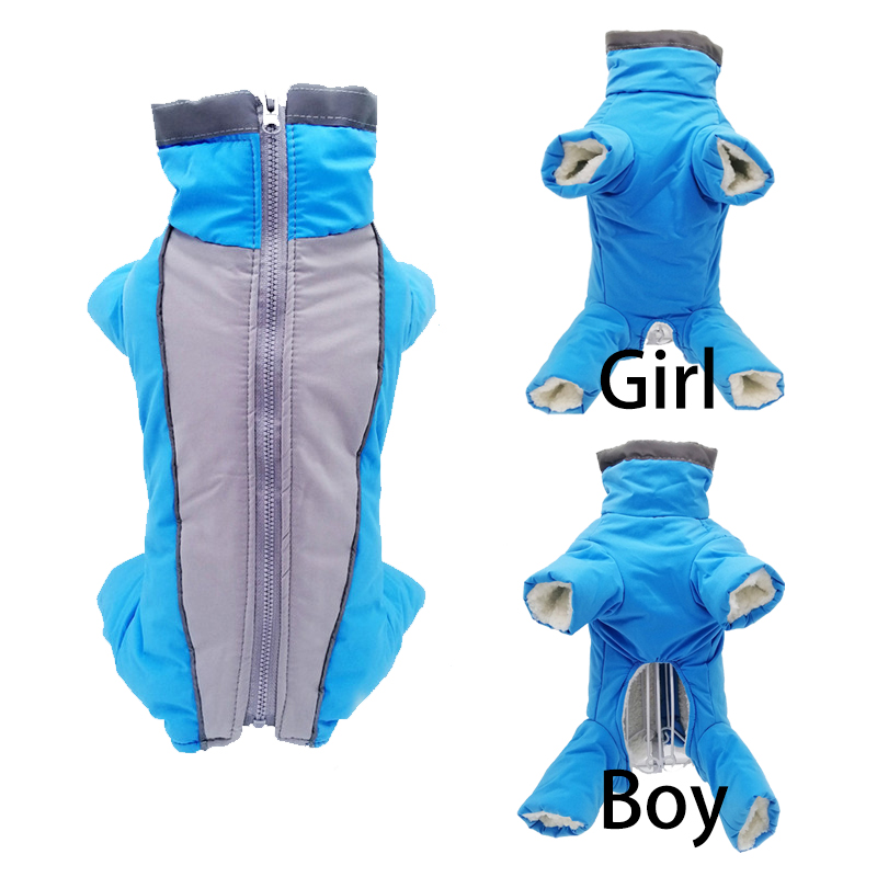 Winter Pet Dog Clothes Super W - Winter Clothing In French 评论和价格