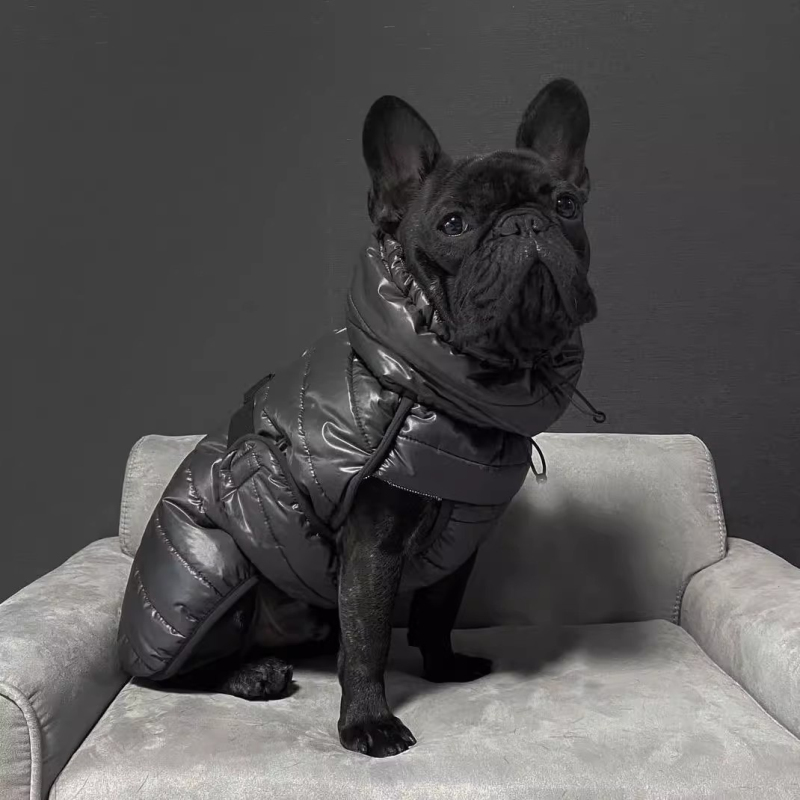 Pug Dog Coat Jacket Winter Fre - Winter Clothing In French 评论和价格