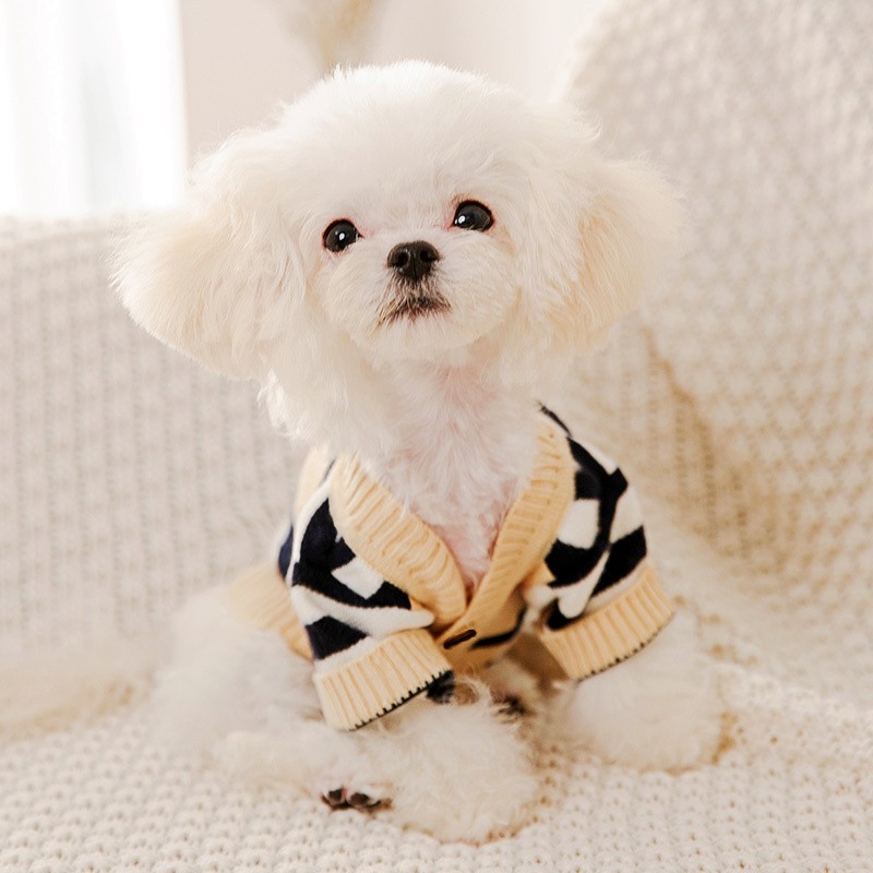 Luxury Dog Clothes Halloween W - Winter Clothing In French 评论和价格